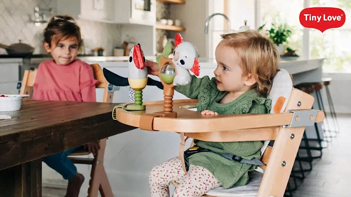 Boho Chic 3-in-1 Highchair Natural Wood Chair That Grows with Your Baby